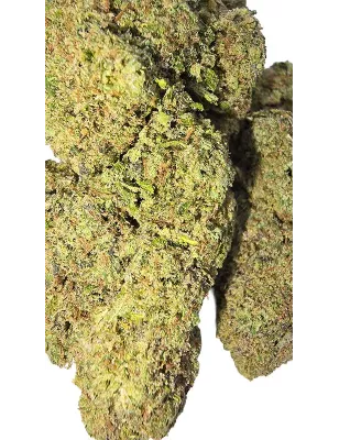 Gaiabis – Blue Dream Indoor 5 grammes