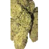 Gaiabis – Blue Dream Indoor 5 grammes