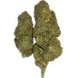 Gaiabis – Blue Dream Fleur CBD Indoor 5 g / 10 g Gaiabis – Blue Dream Fleur CBD Indoor 5 g / 10 g