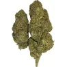 Gaiabis – Blue Dream Indoor 5g