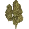 Gaiabis – Blue Dream Indoor 5 grammi