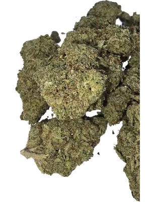 Gaiabis – AK Forte Indoor 5g/10g