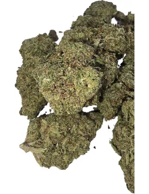Gaiabis – AK Forte Indoor 10g