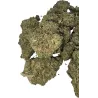 Gaiabis – AK Forte Indoor 10g