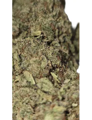 Gaiabis – AK Forte Indoor 10g