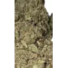 Gaiabis – AK Forte Indoor 5g/10g
