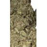Gaiabis – AK Forte Indoor 10g