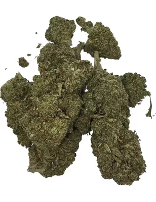 Gaiabis – AK Forte Indoor 5g/10g