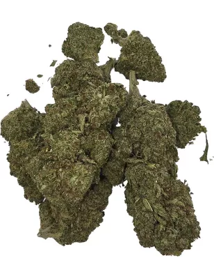 Gaiabis – AK Forte Indoor 10g