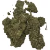 Gaiabis – AK Forte Indoor 10g