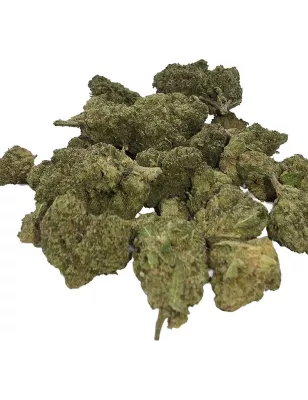 Gaiabis – Blue Dream Indoor 10g