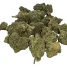 Gaiabis – Blue Dream Indoor 10g