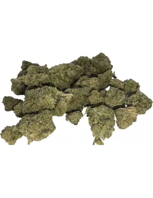 Gaiabis – Blue Dream Indoor 10g