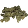 Gaiabis – Blue Dream Indoor 10g