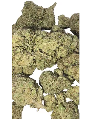 Gaiabis – Blue Dream Indoor 10g