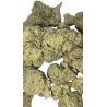 Gaiabis – Blue Dream Indoor 10g