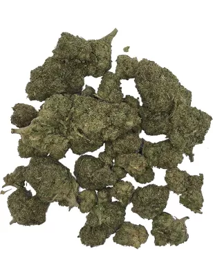 Gaiabis – Blue Dream Indoor 10g