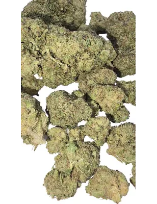 Gaiabis – Blue Dream Indoor 10g