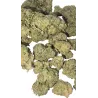 Gaiabis – Blue Dream Indoor 10g