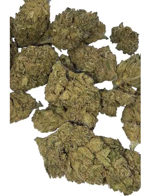 Gaiabis – Frozty Fleurs de CBD Indoor 10g