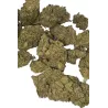 Gaiabis – Frozty CBD Indoor Blüten 5g/10g