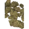 Gaiabis – Frozty Fleurs de CBD Indoor 10g