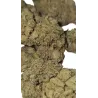 Gaiabis – Frozty CBD Indoor Blüten 5g/10g