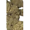Gaiabis – Frozty Fleurs de CBD Indoor 10g