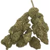 Gaiabis – White Widow CBD Indoor Blüten 10g