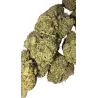 Gaiabis – White Widow CBD Indoor Blüten 10g