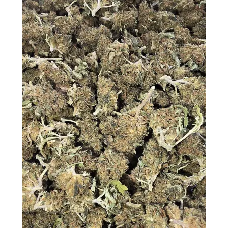 Gaiabis – Super Skunk Small Buds Hybrides Greenhouse 50g