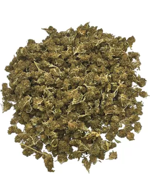 Gaiabis – Super Skunk Small Buds Hybrides Greenhouse