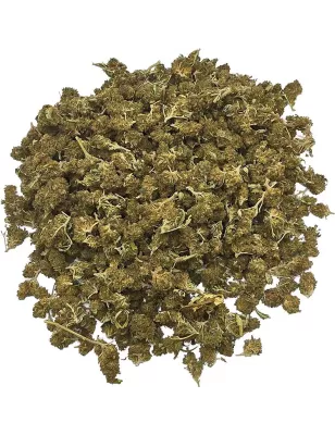 Gaiabis – Super Skunk Small Buds Hybride Greenhouse