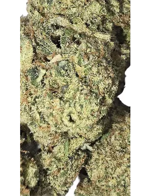 Gaiabis – White Widow Fleurs de CBD Indoor Échantillon 0.5 g