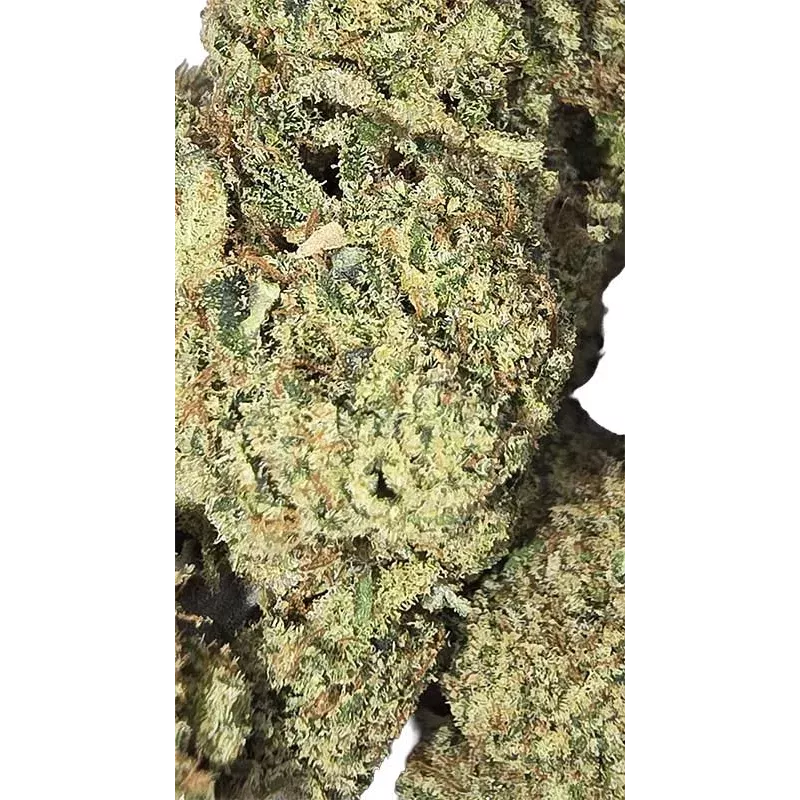 Gaiabis – White Widow Fleurs de CBD Indoor Échantillon 0.5 g Gaiabis – White Widow Fleurs de CBD Indoor Échantillon 0.5 g