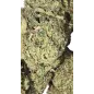 Gaiabis – White Widow Fleurs de CBD Indoor Échantillon 0.5 g Gaiabis – White Widow Fleurs de CBD Indoor Échantillon 0.5 g