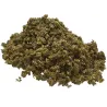 Gaiabis – Special Sauce Small Buds Hybrides Greenhouse