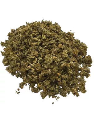 Gaiabis – Special Sauce Small Buds Hybrids Greenhouse