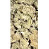 Gaiabis – Special Sauce Small Buds Ibride Greenhouse