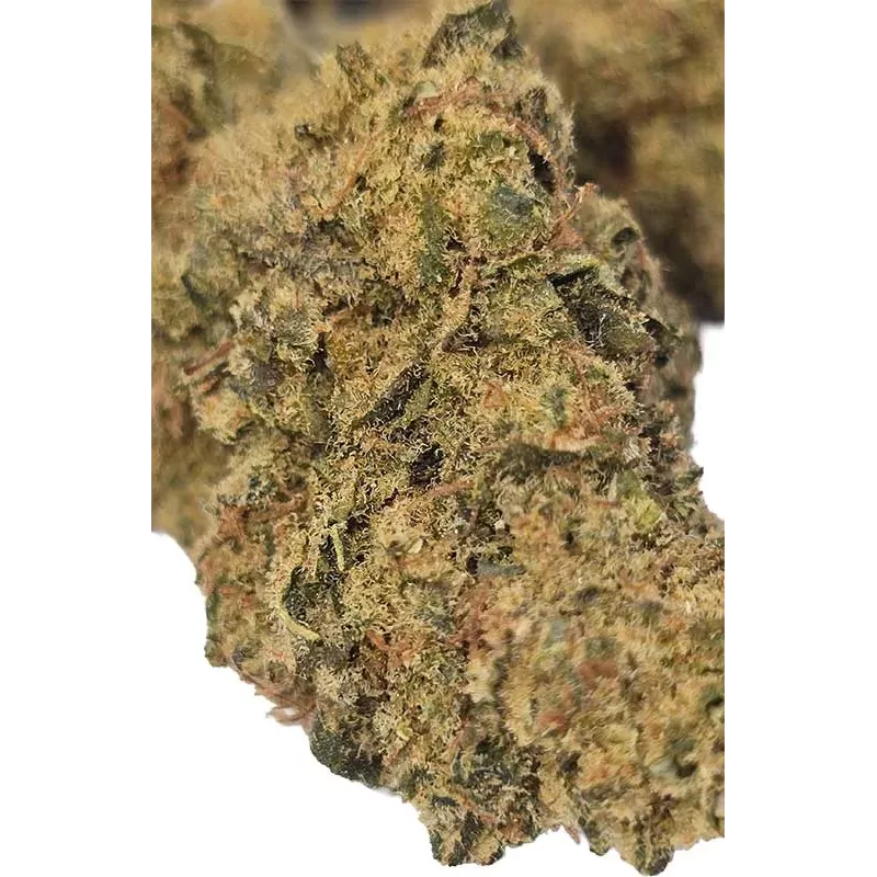 Gaiabis – Frozty Fleurs de CBD Indoor Échantillon 0.5 g Gaiabis – Frozty Fleurs de CBD Indoor Échantillon 0.5 g
