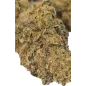 Gaiabis – Frozty CBD Indoor-Blüten Probe 0.5 g Gaiabis – Frozty CBD Indoor-Blüten Probe 0.5 g