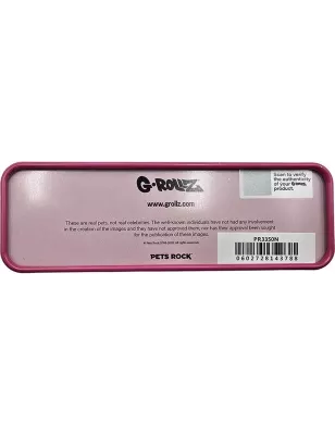 G-Rollz – Pets Rock Storage Box Diamond S 12 x 4 x 2.5 cm