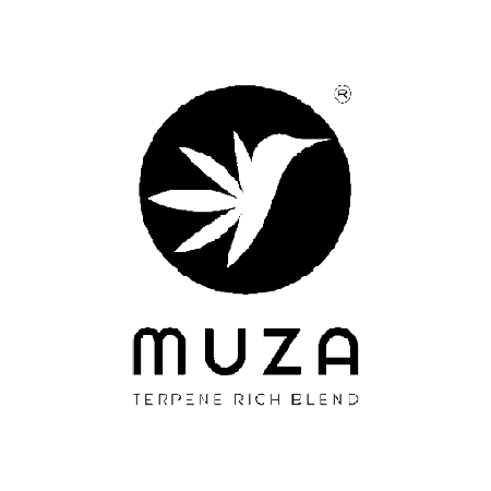 Muza