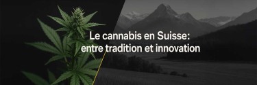 Le cannabis en Suisse : entre tradition et innovation