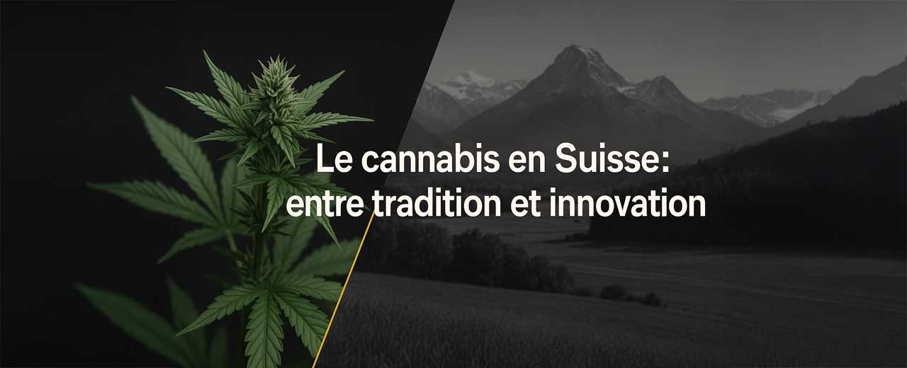 Le cannabis en Suisse : entre tradition et innovation