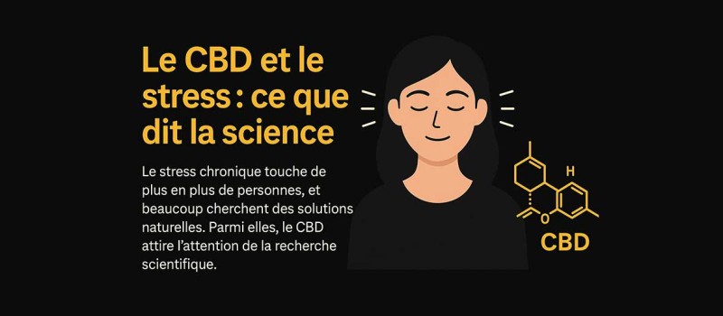 Le CBD et le stress : ce que dit la science
