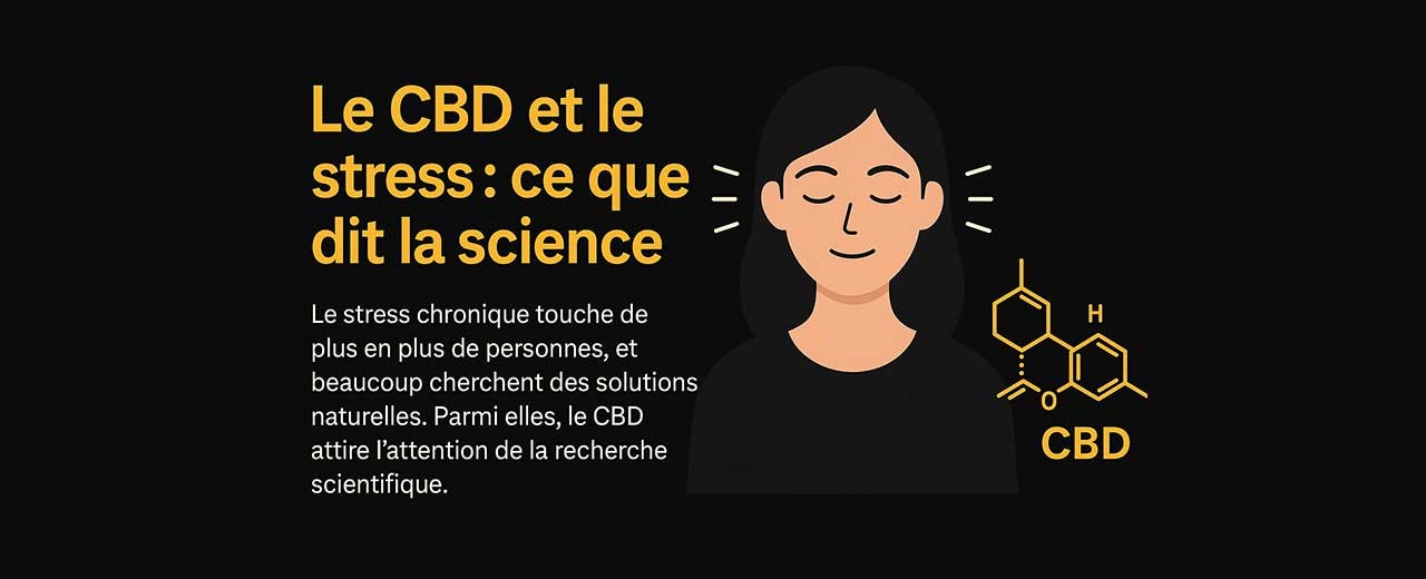 CBD und Stress: Was die Wissenschaft sagt