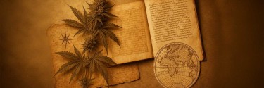 Le cannabis à travers l’histoire : de plante sacrée à sujet de société