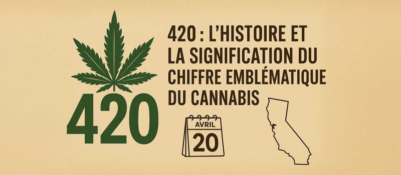 420&nbsp;: l’histoire et la signification du chiffre emblématique du cannabis