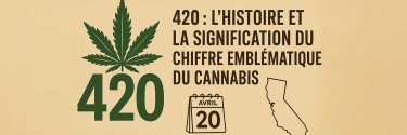 420&nbsp;: l’histoire et la signification du chiffre emblématique du cannabis
